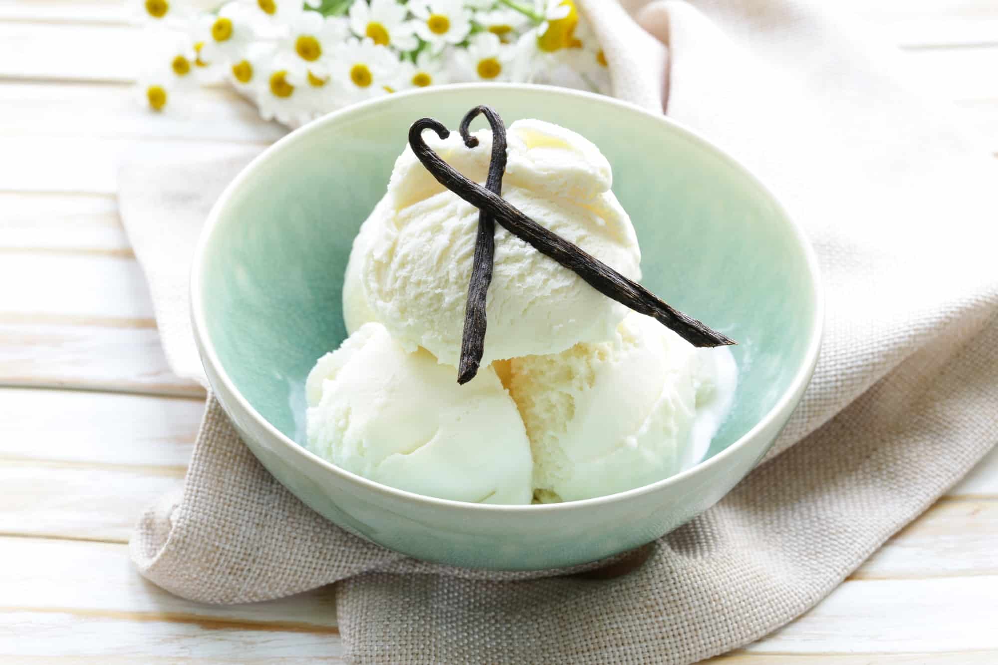 Homemade Creamy Vanilla Ice Cream